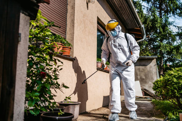 Best Mosquito Control Services  in Hanover, MN