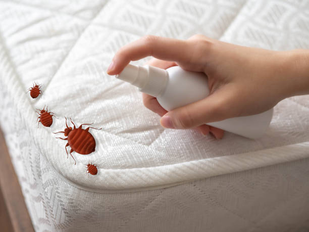 Best Commercial Pest Control Services  in Hanover, MN