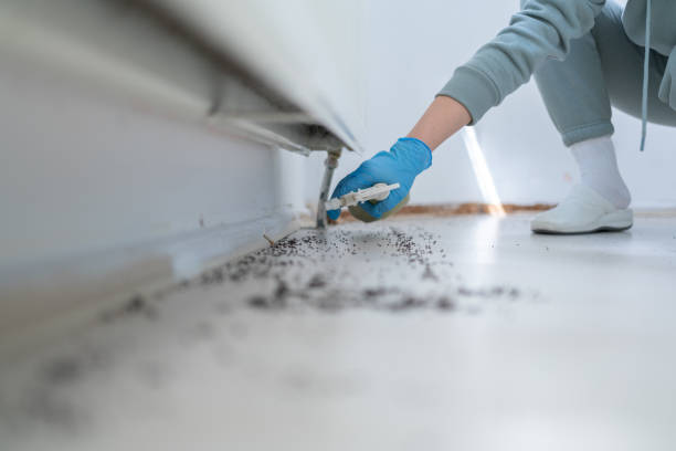 Trusted Hanover, MN Pest Control Experts